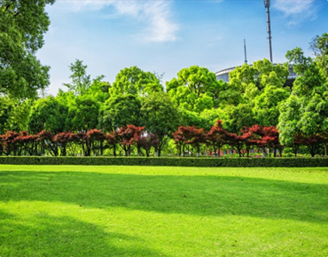 GROEN GRASPERK post thumbnail